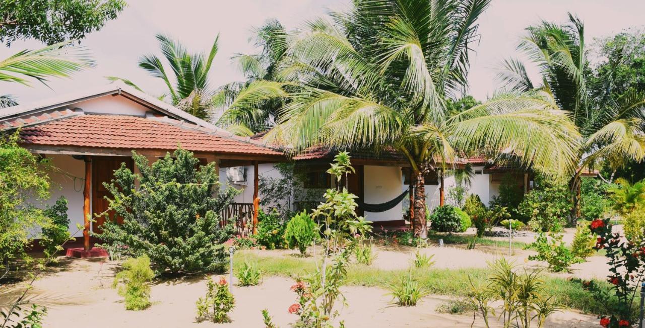 Prime Surfers Bungalow Baie d'Arugam Extérieur photo