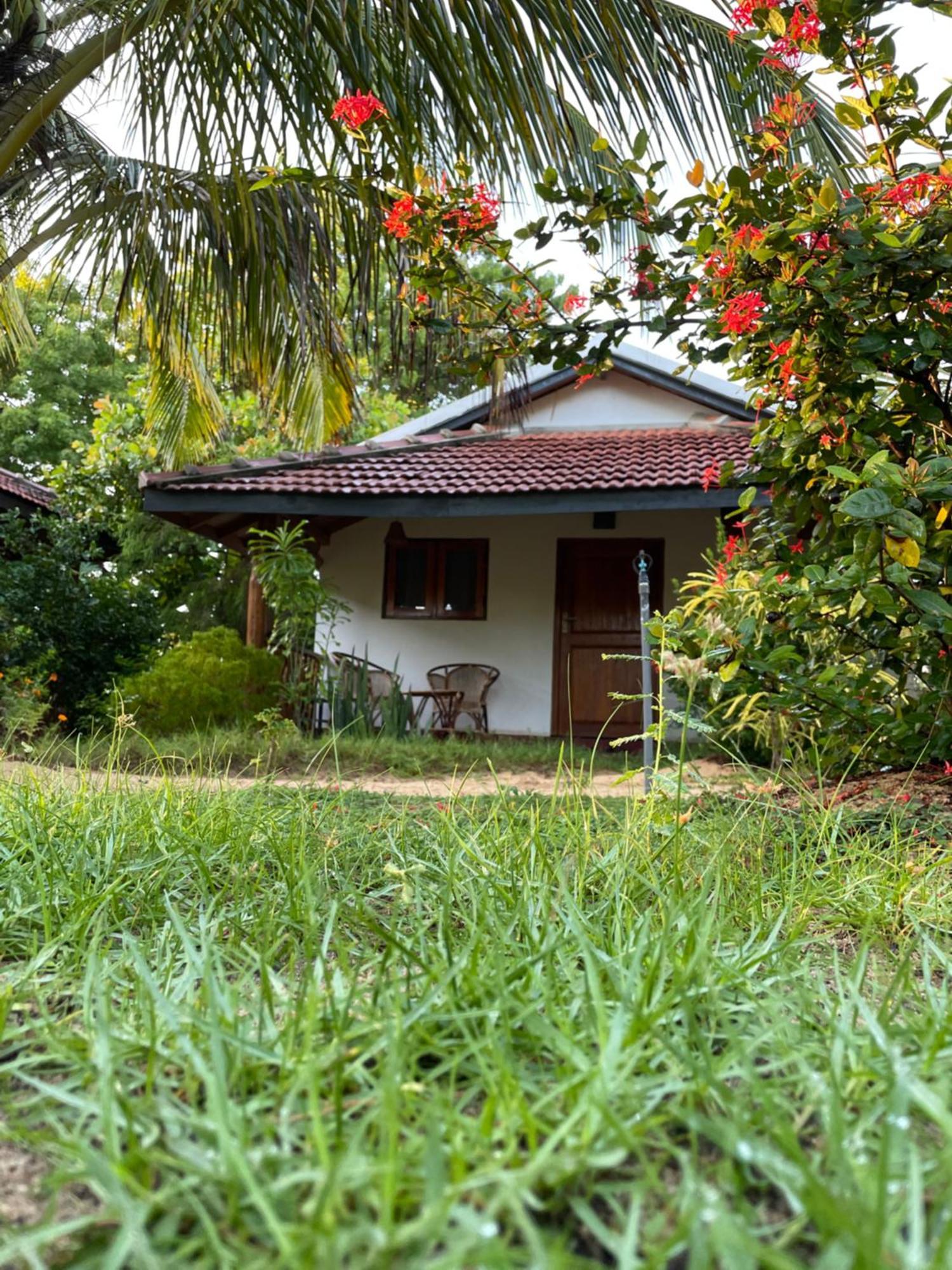 Prime Surfers Bungalow Baie d'Arugam Extérieur photo